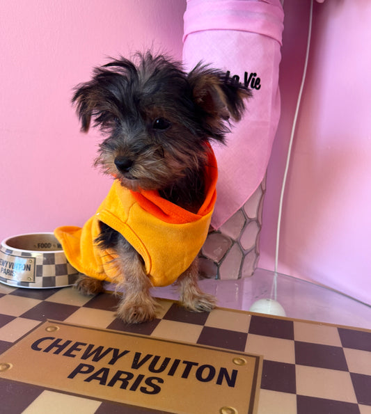 “Baxter” - Male Yorkshire Terrier (Yorkie) Puppy