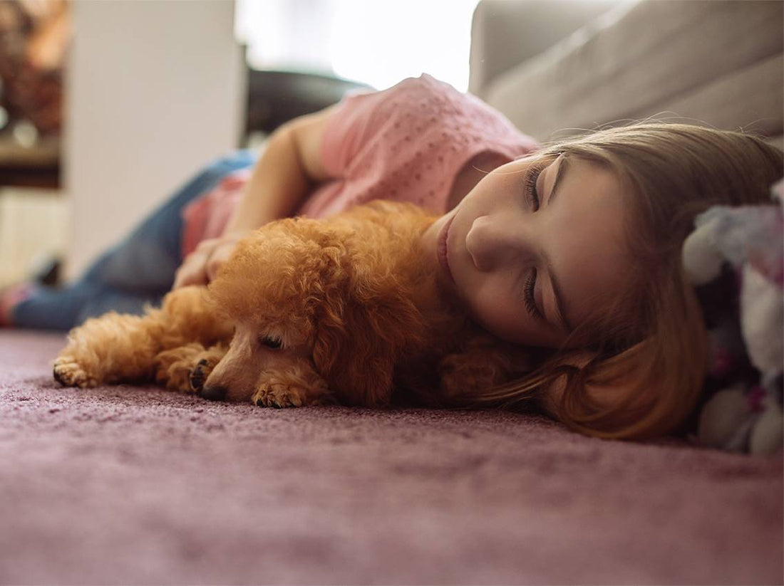 At Puppy La Vie, we truly do our best.