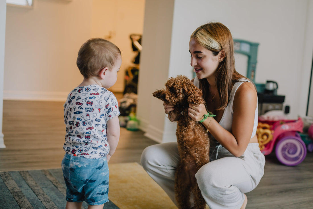 Toy Puppies in Virginia: Find the Perfect Small Companion!